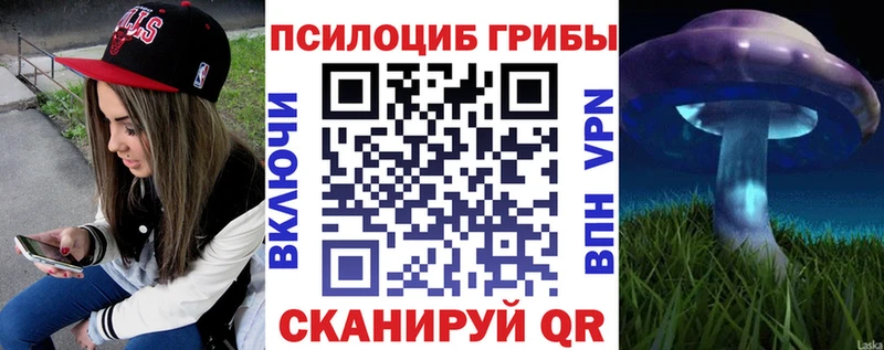 Псилоцибиновые грибы GOLDEN TEACHER  цена наркотик  kraken онион  Звенигород 